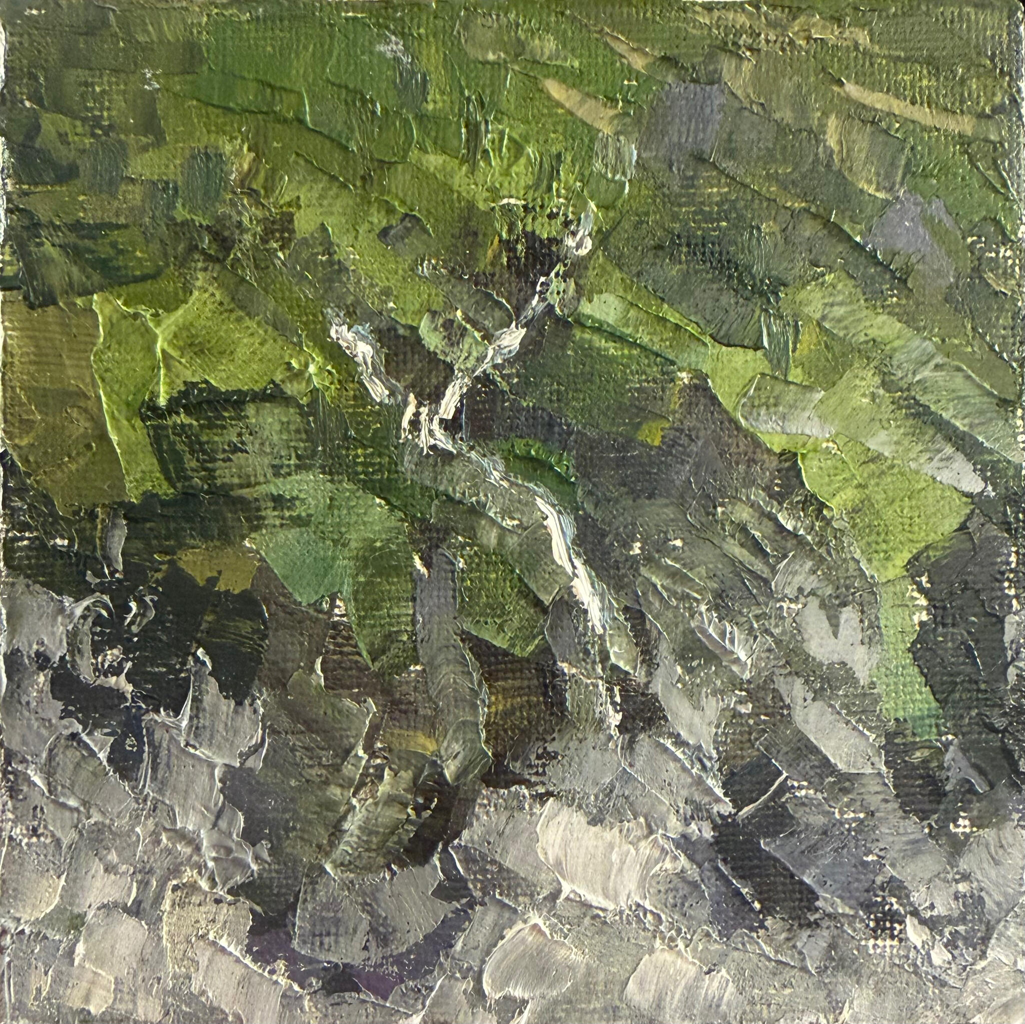 Forest Pulse Media: Oil on canvas board. Dimensions: 10 × 10 cm.(approx. 4 × 4 in). Price: £25